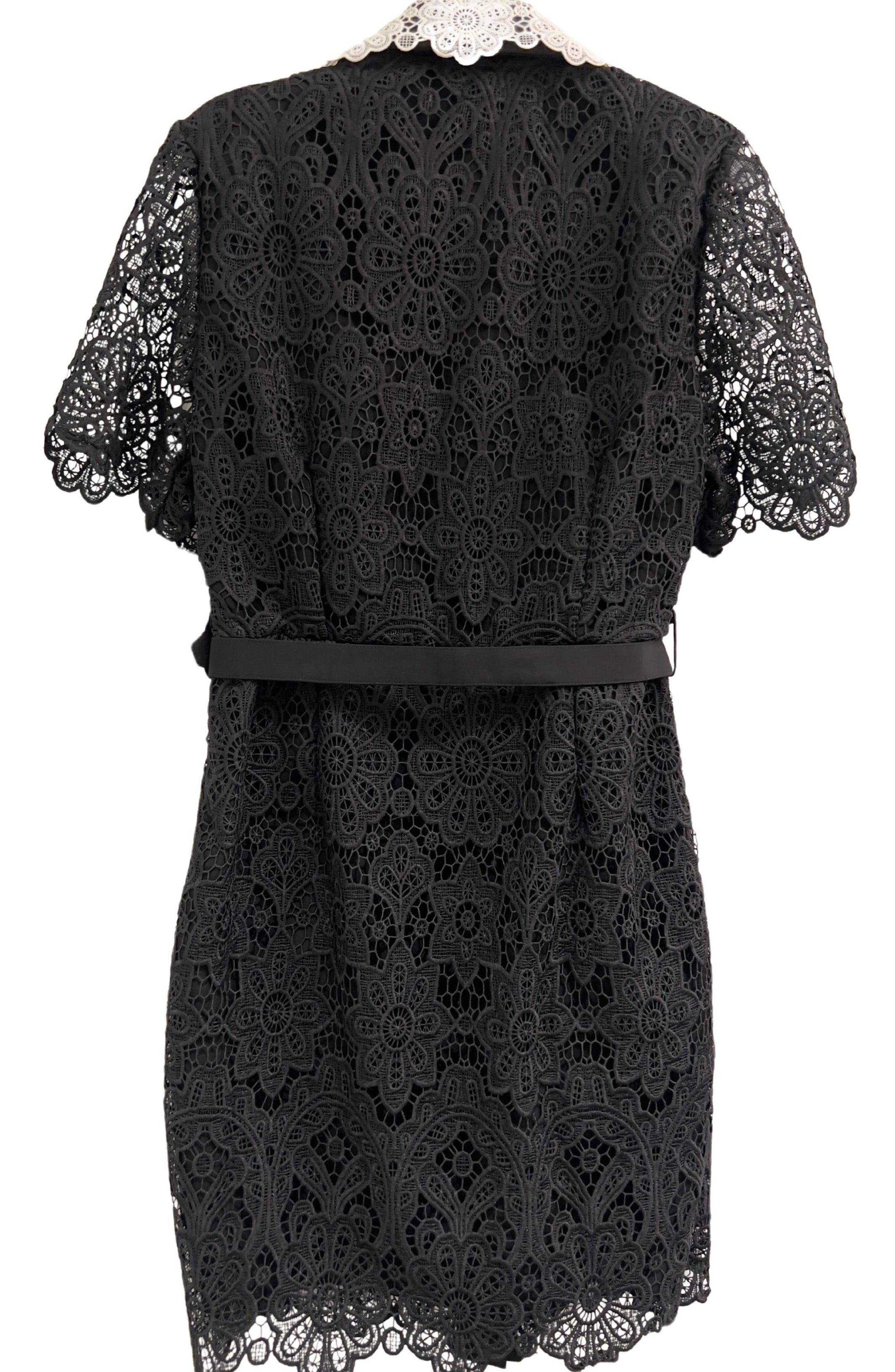 Elegant black lace dress with a distinctive white lace collar, short lace sleeves, and a row of decorative buttons down the front, displayed on a hanger - BTK COLLECTION