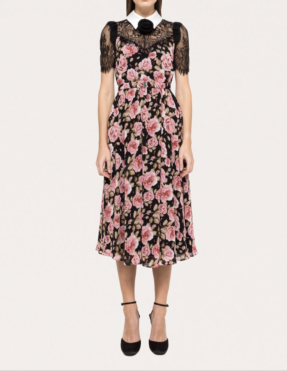 Front view of black rose-print chiffon midi dress with white point collar, black lace illusion yoke, short lace sleeves, belted waist and flared mid‑calf skirt