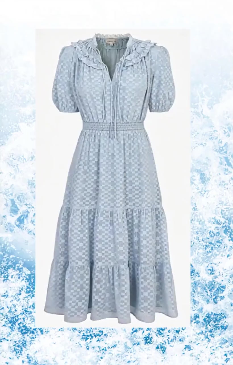 Darlene Burnout Chiffon Smocked Midi Dress