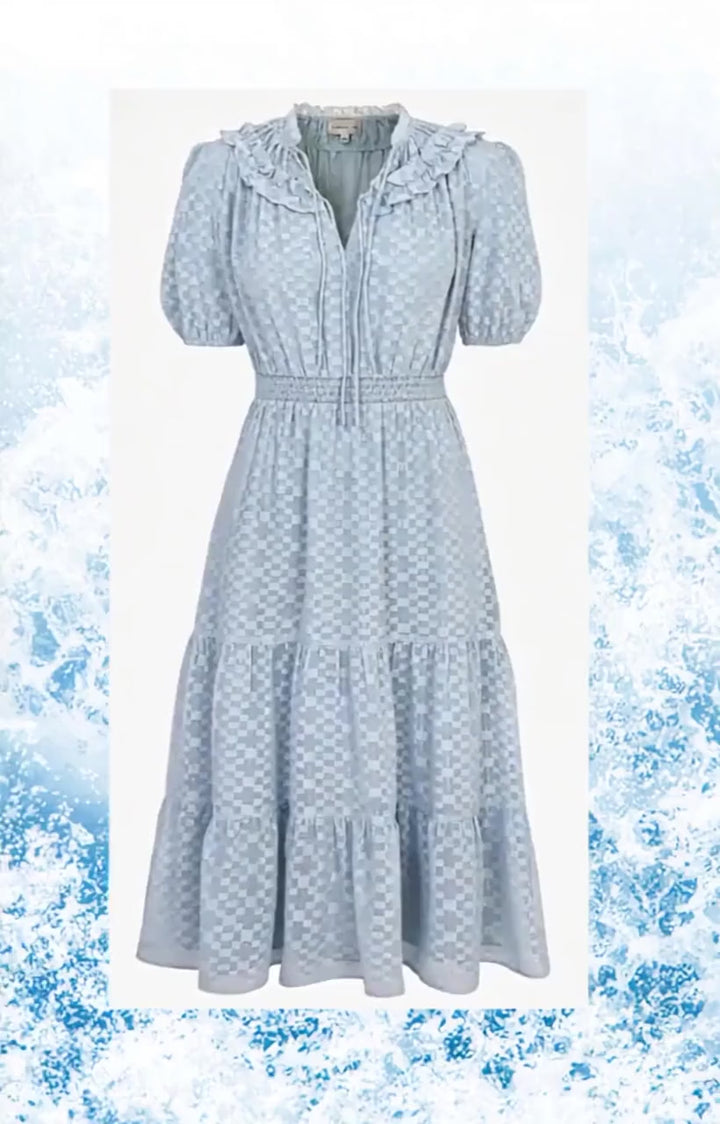 Darlene Burnout Chiffon Smocked Midi Dress
